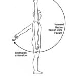 Diabetics exercise, Step 3